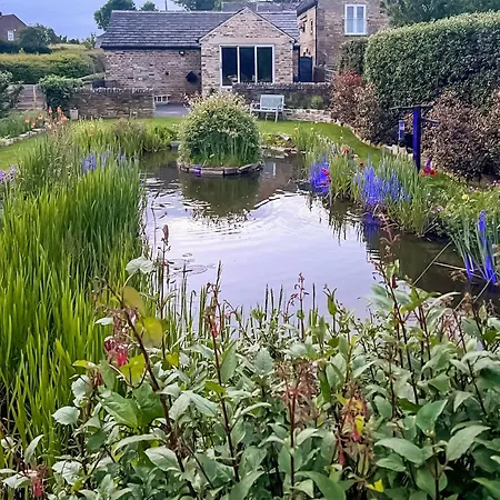 Peartree * Sheffield